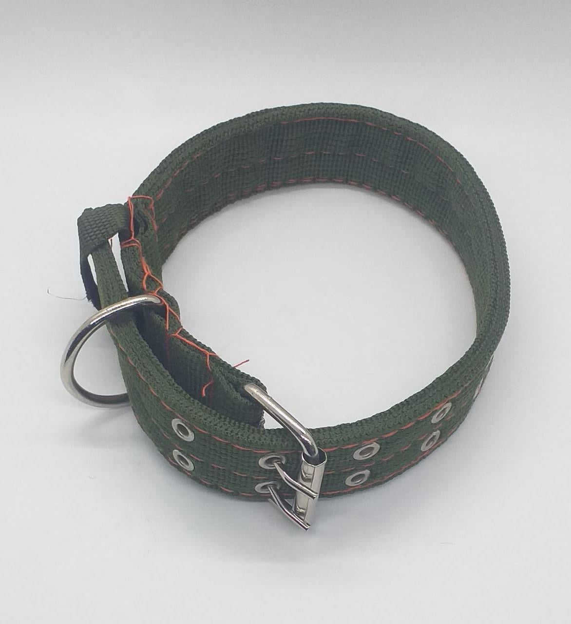Dog Collar Canvas 26" X 1 1/2" W/RING