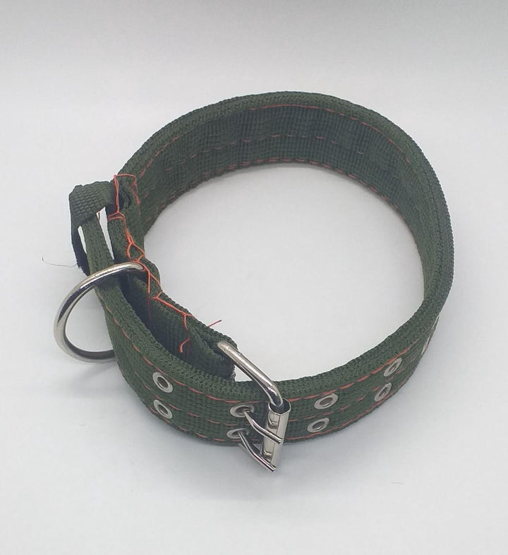 Dog Collar Canvas 26" X 1 1/2" W/RING