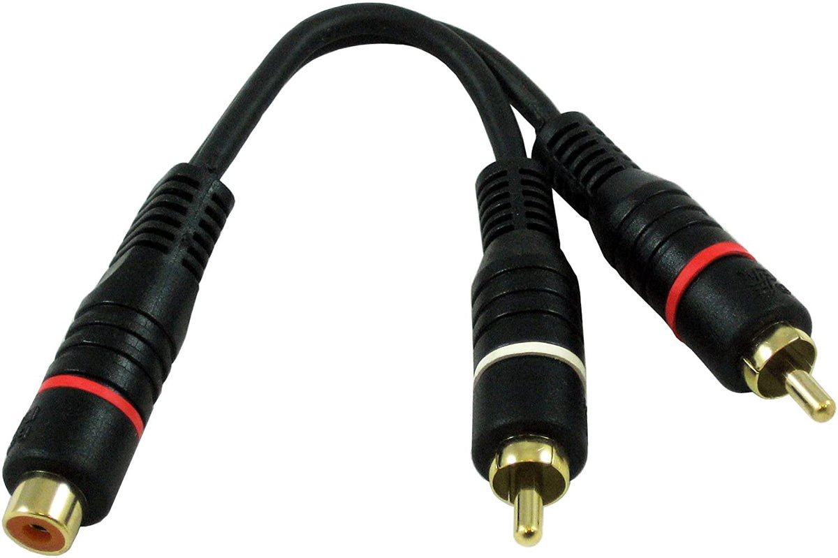 BLASTKING Lead 1 Rca F - 2 Rca M Y 12" I-SC430AYG-12-BLK