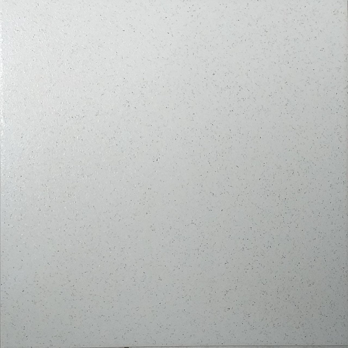Tile Ceramic 18X18 N/SKID Saturno Branco