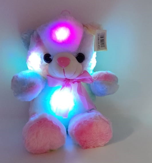 Plush Teddy Bear B98-40 Rainbow