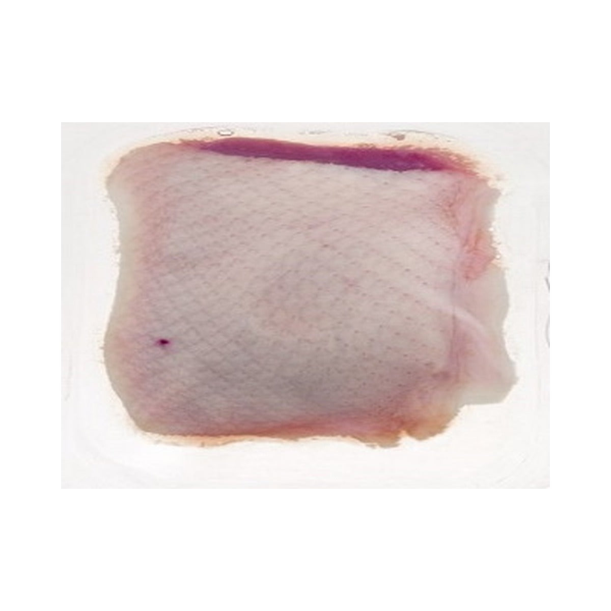 Duck US Breast Boneless /kg