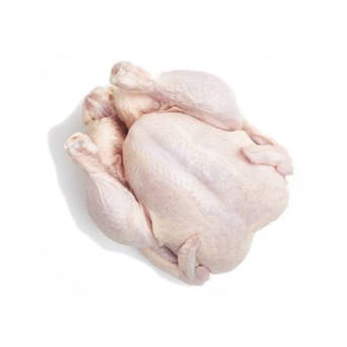Chicken Whole/kg