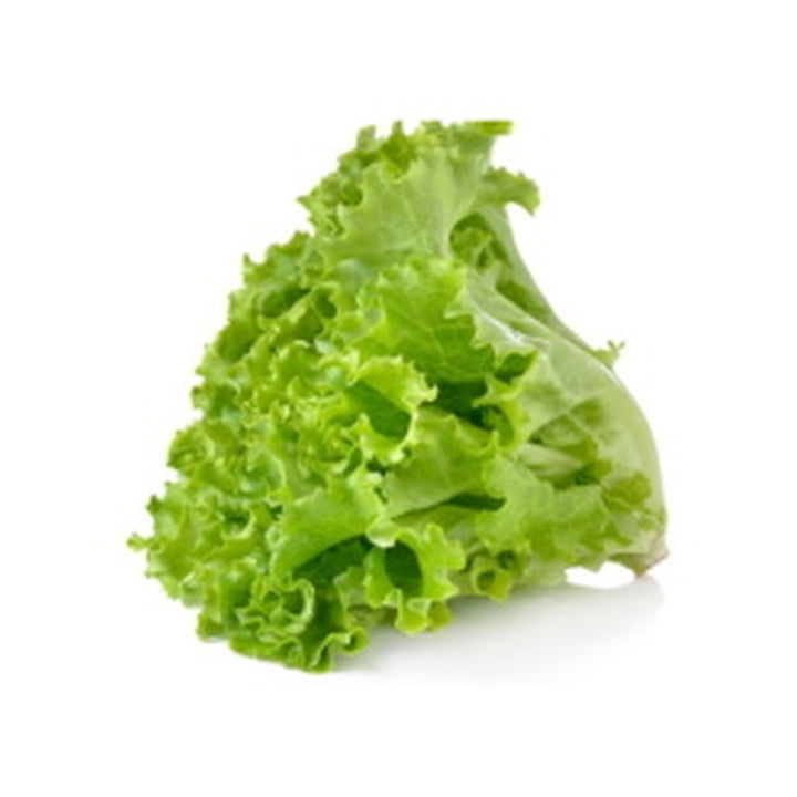 Lettuce Local /Head