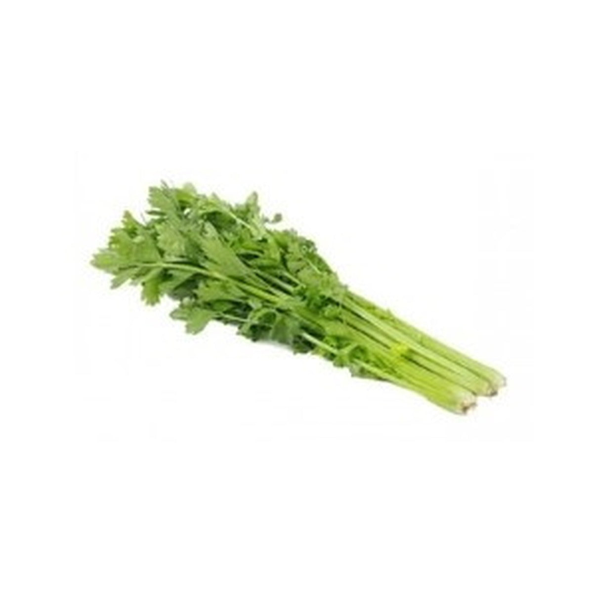 Celery Local / Bundle 454g