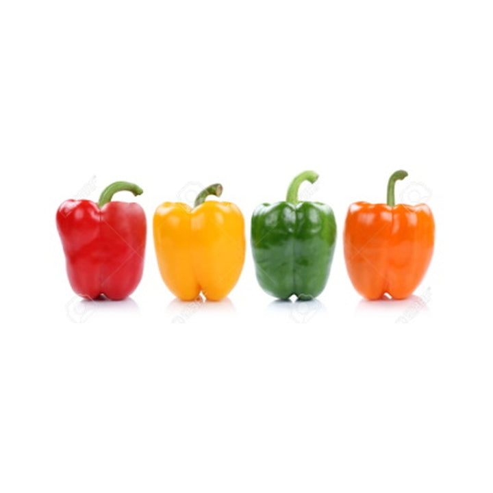 Sweet Pepper Imported Bell Lg /kg