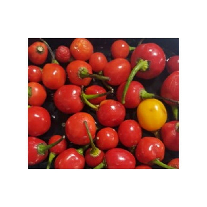 Pepper Hot Wiri Wiri /kg