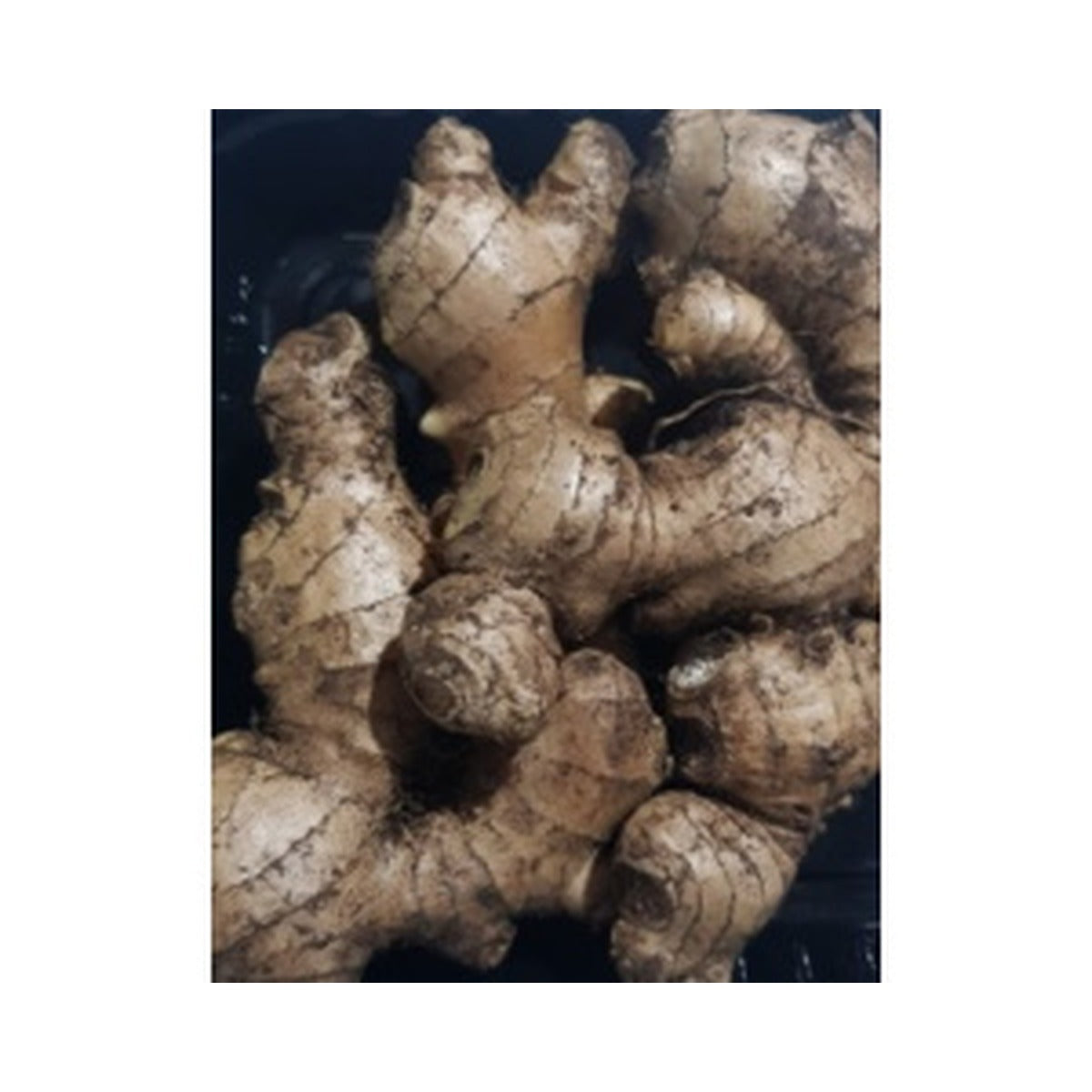 Ginger Local /kg