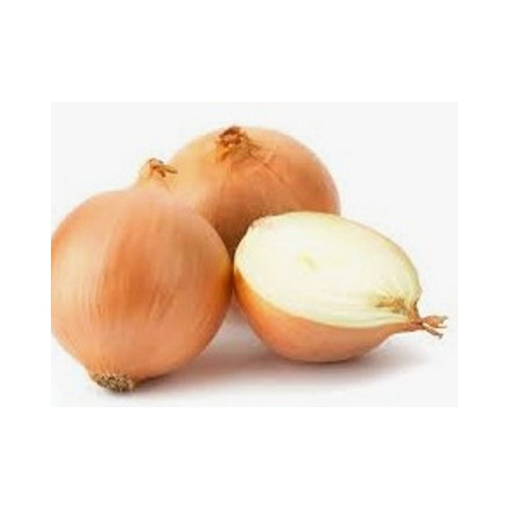 Onion Yellow Regular /kg