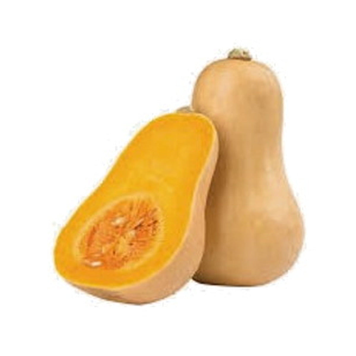 Squash Butternut /kg