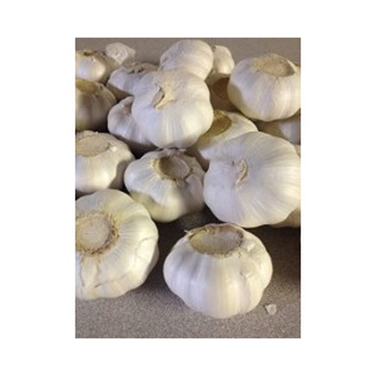 Herbs/Seasoning Garlic / kg