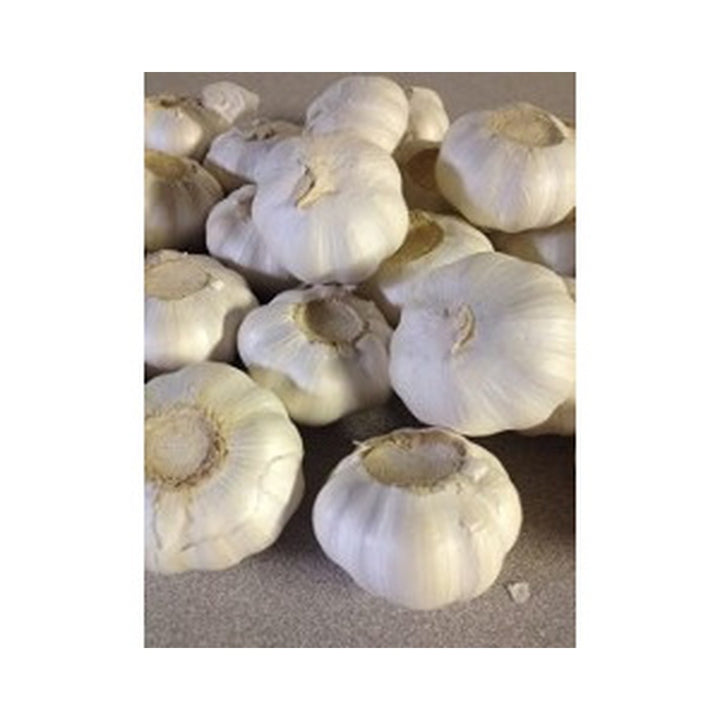 Herbs/Seasoning Garlic / kg