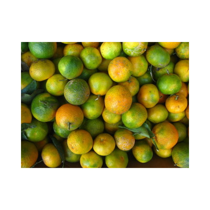 Oranges (Seasonal) /Ea