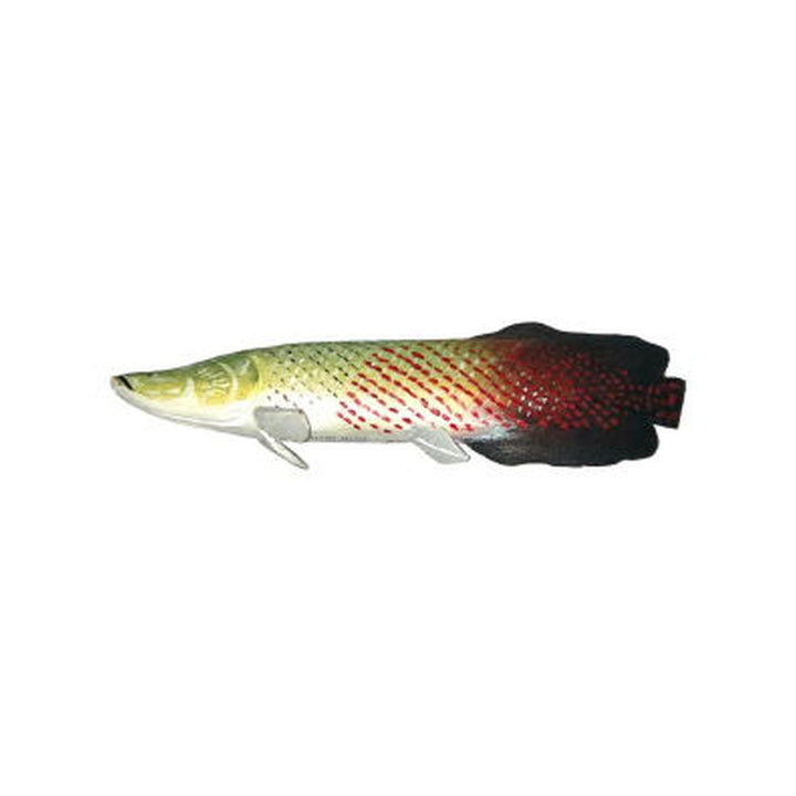 Fish Carving Arapaima 6-8"