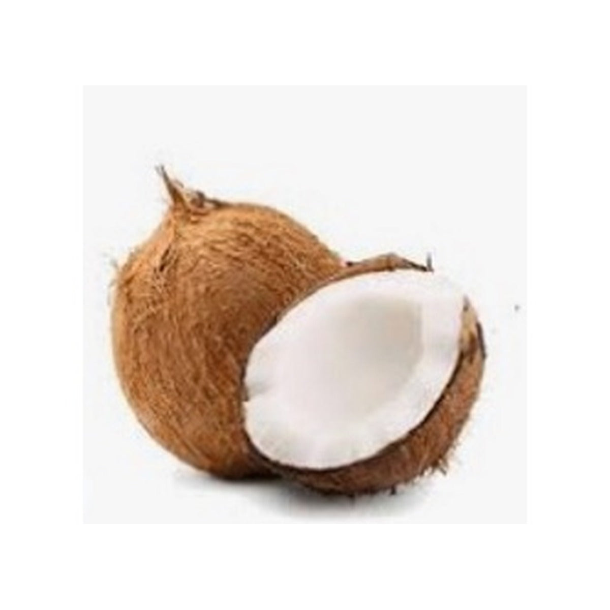 Coconut Dry Ea