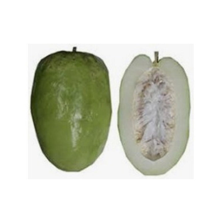 Granadilla ea