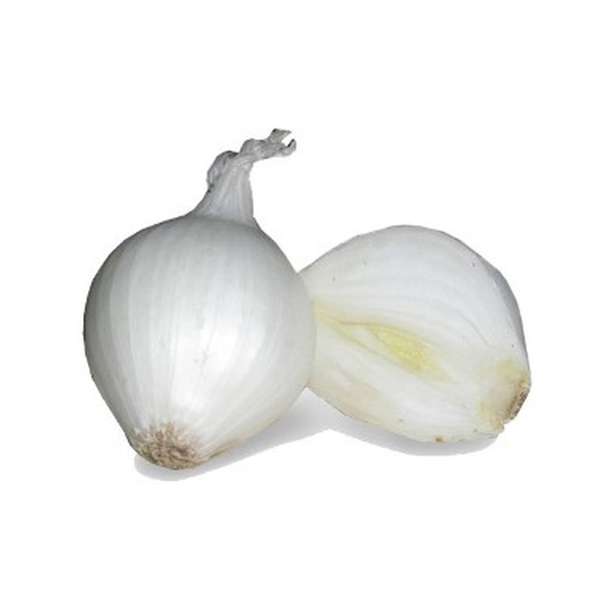 Onion White /kg