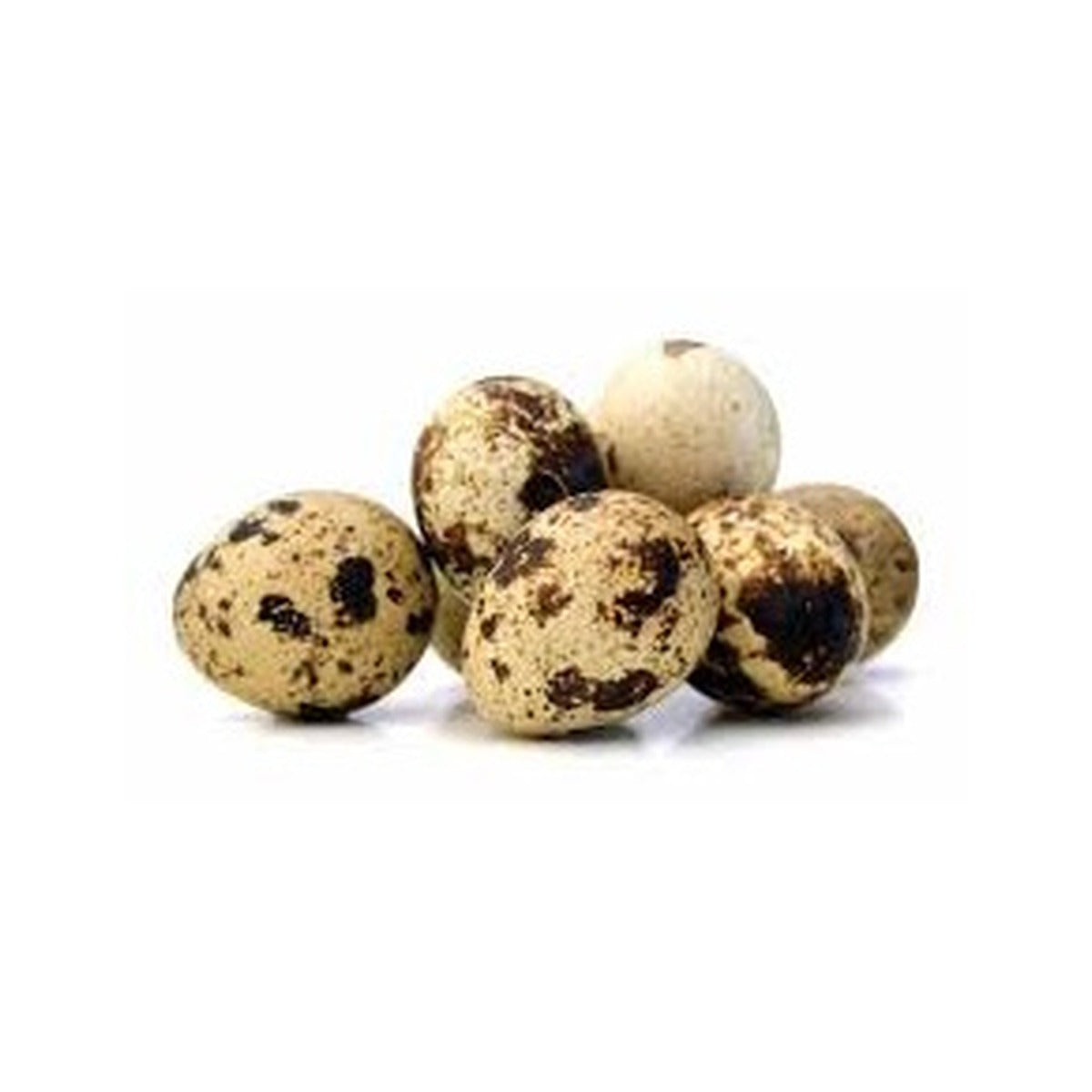 Canji Farms Quail Eggs 30 pc/tray.