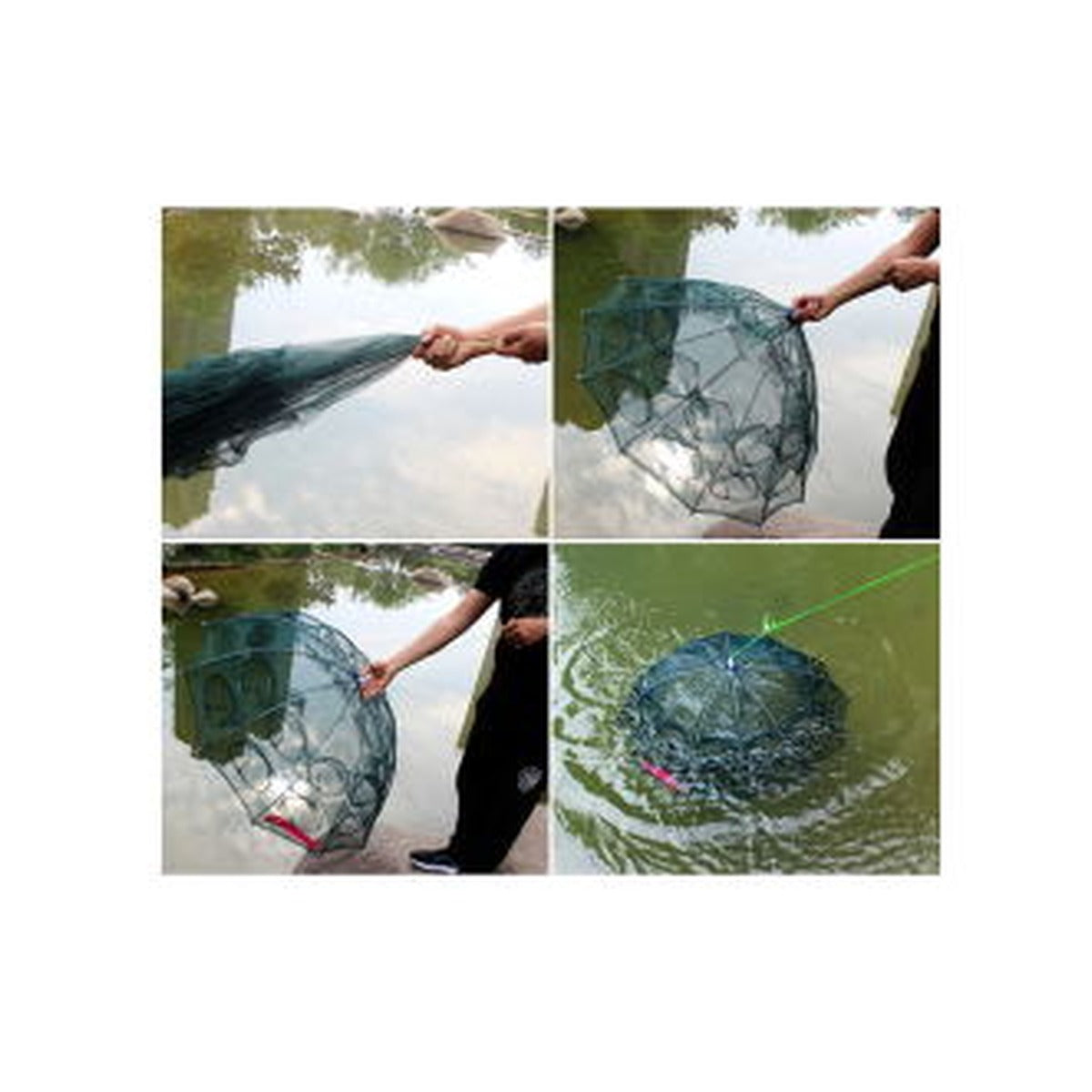 Fishing Net 16Div Trap