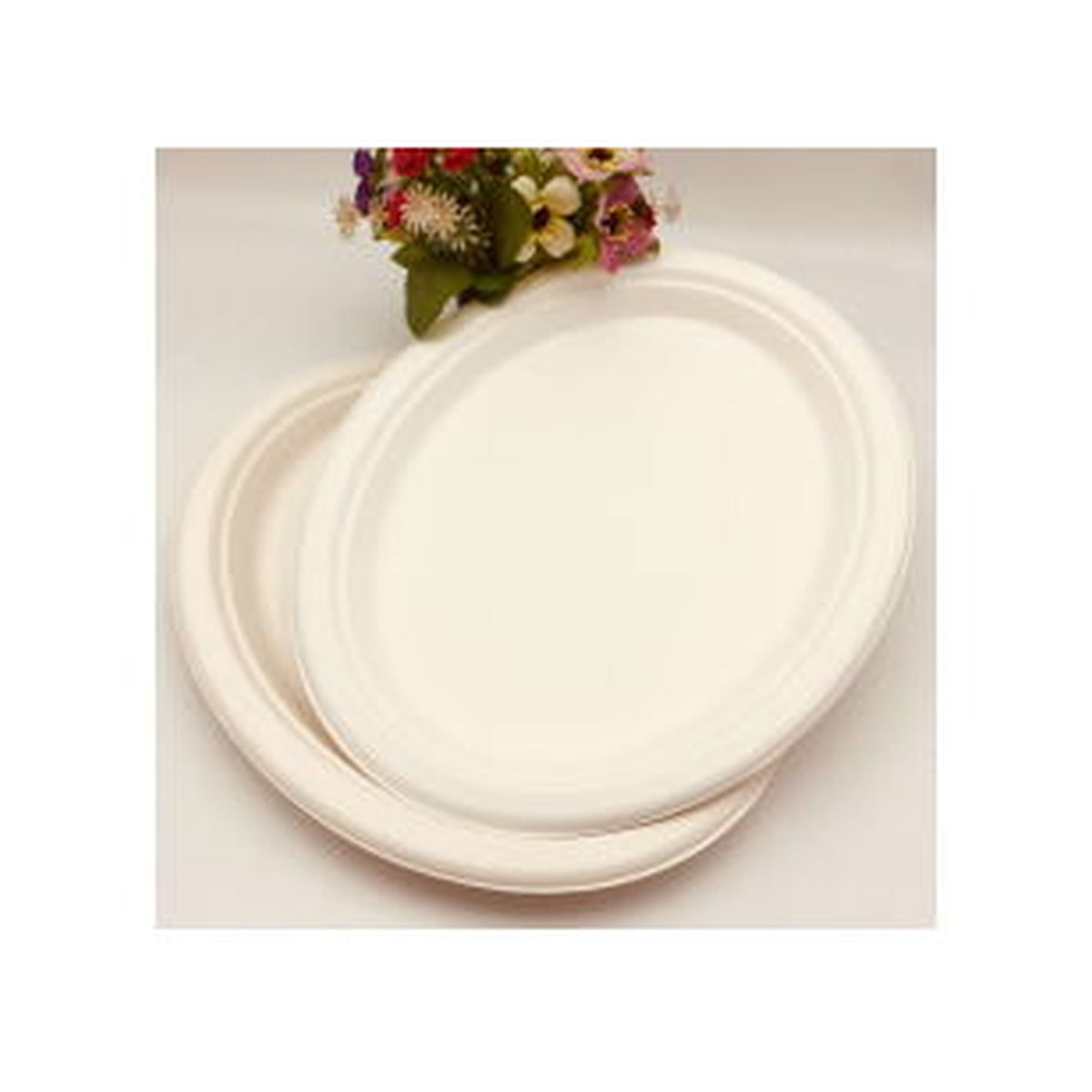 Disposable Plate Party Time 15pcs