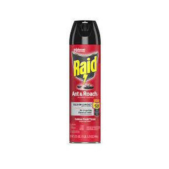 Insecticide Raid Ant & Roach 496g