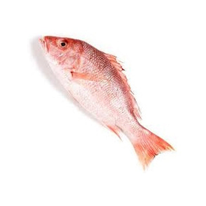 Fish Red Snapper Whole/ kg