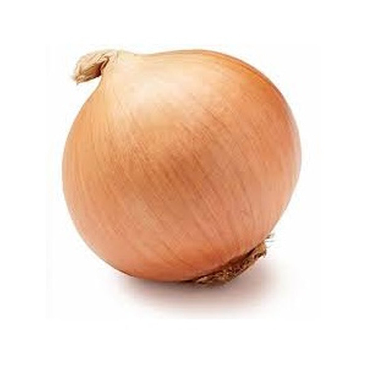 Onion Yellow Large /kg