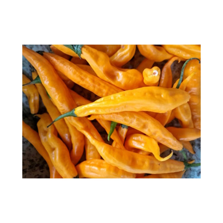 Pepper Seasoning /kg