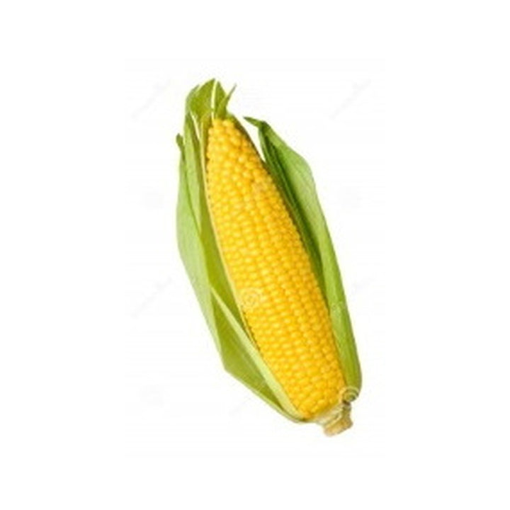Corn Cob Sweet Local /Ear
