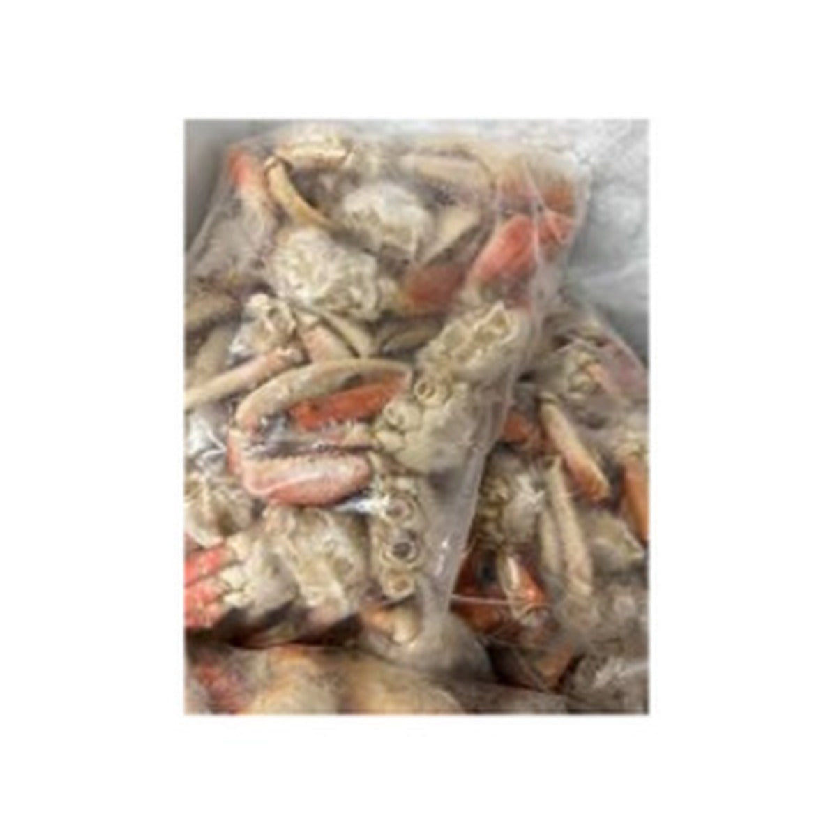 Crab Pre Cooked/ kg