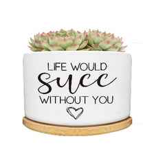 Planter Small / succulent pot LIFE WOULD succ WITHOUT YOU