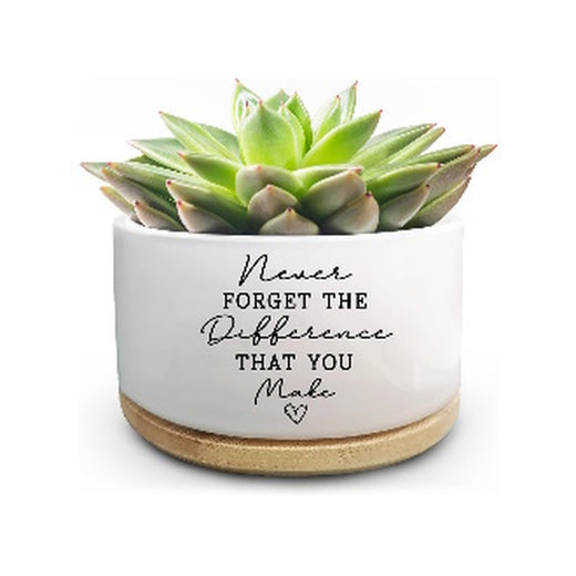 Planter Small / succulent pot Never FORGET THE Difference