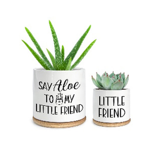 Planter Small / succulent pot Say Aloe to My Little Friend