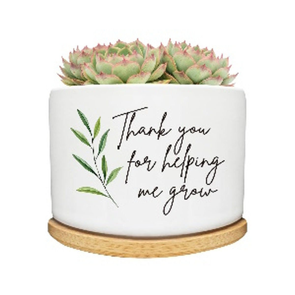 Planter Small / succulent pot Thank You for Helping Green Leaf