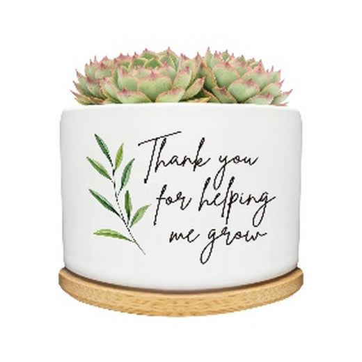 Planter Small / succulent pot Thank You for Helping Green Leaf
