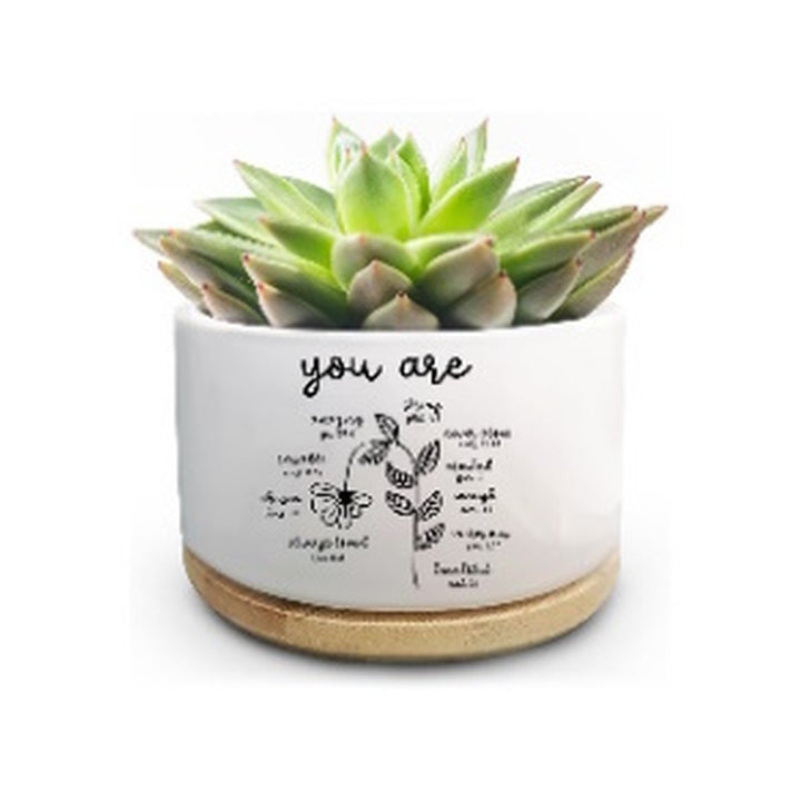 Planter Small / succulent pot You are