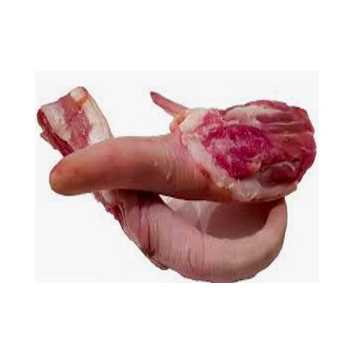 Pork Pigtail Imported /kg