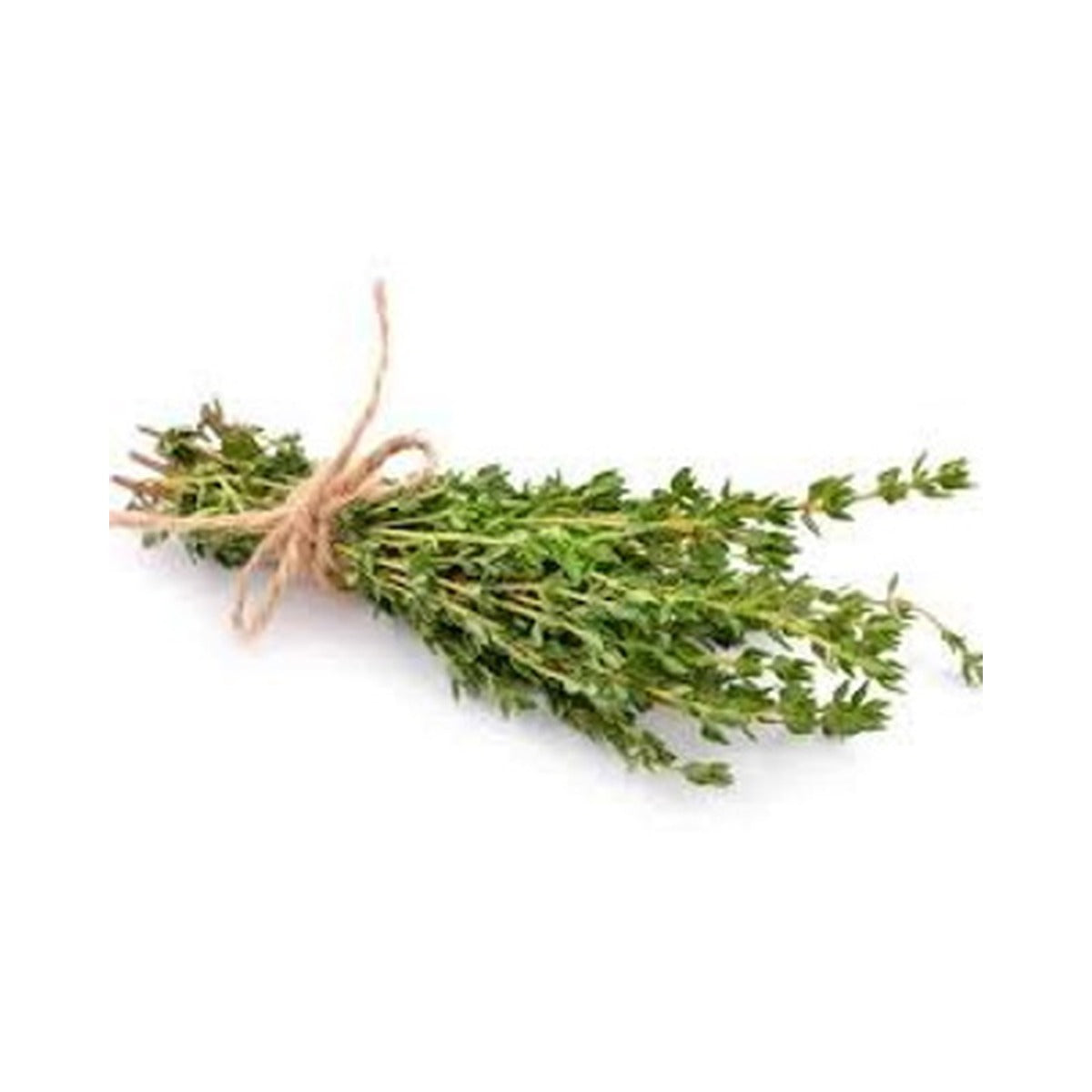 Thyme - Fine Leaf Parcel