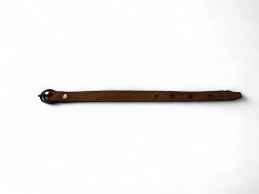 Dog Collar Local Leather 14" X 5/8" Width