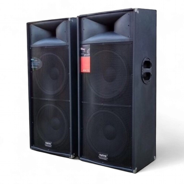 NRS Speaker Box 15" Double DS-2025 Powered Pair
