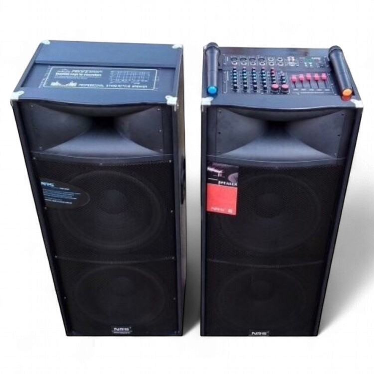 NRS Speaker Box 15" Double DS-2025 Powered Pair