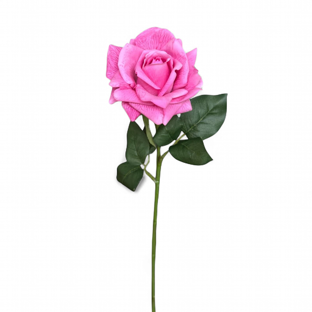 Gift Red Pink Long Stem Sold Each