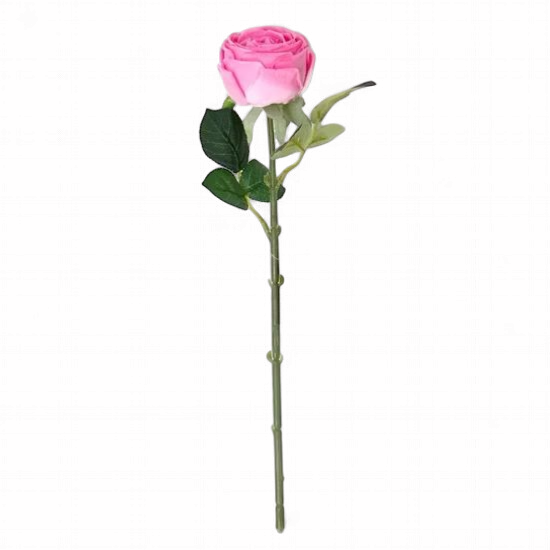 Gift Red Pink Long Stem Sold Each