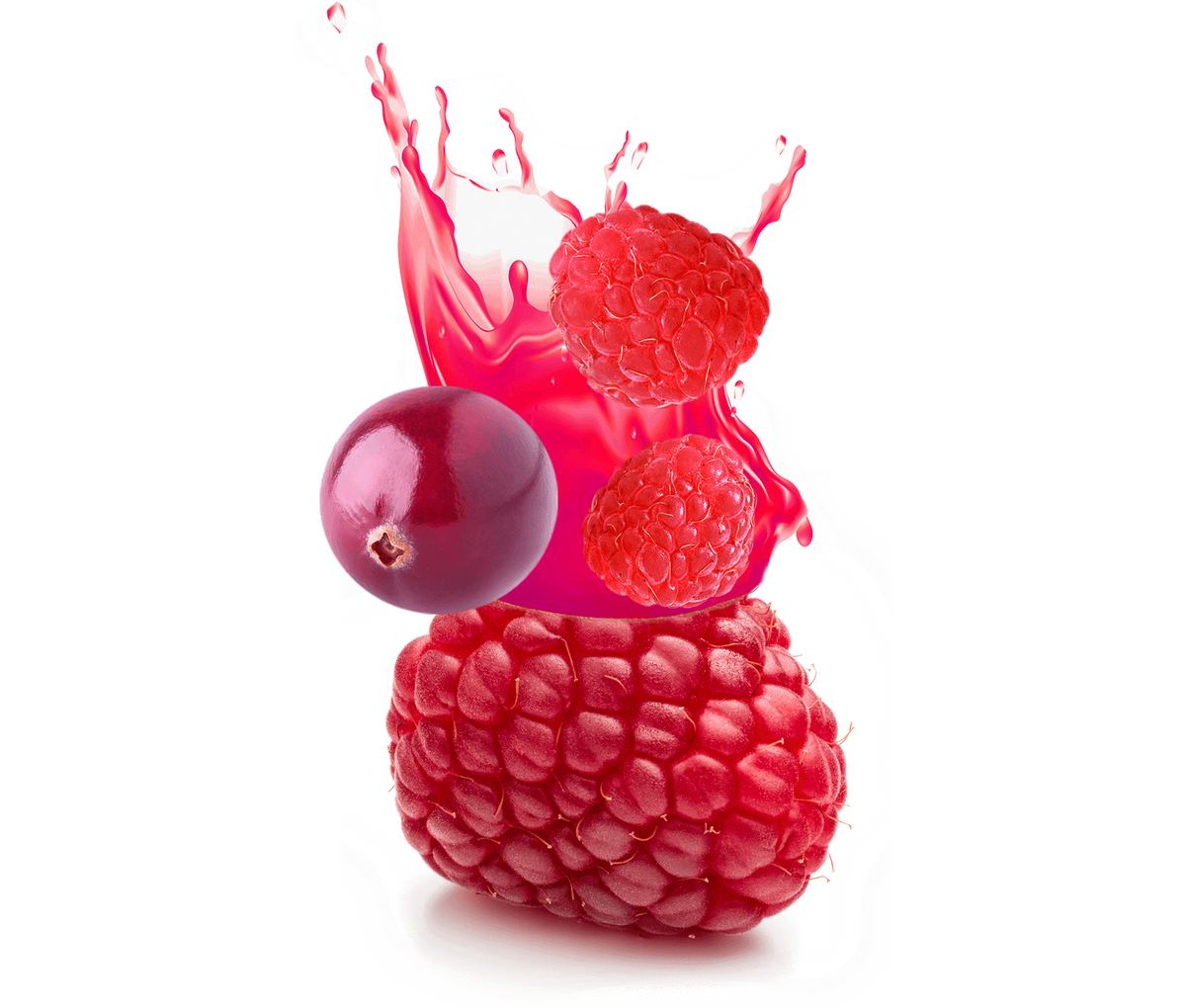 FRUTA Premium Juice Cranberry Raspberry Can 10.7FL OZ 315ML