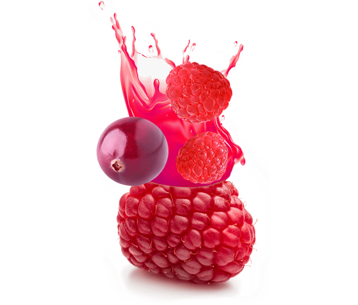 FRUTA Premium Juice Cranberry Raspberry Can 10.7FL OZ 315ML