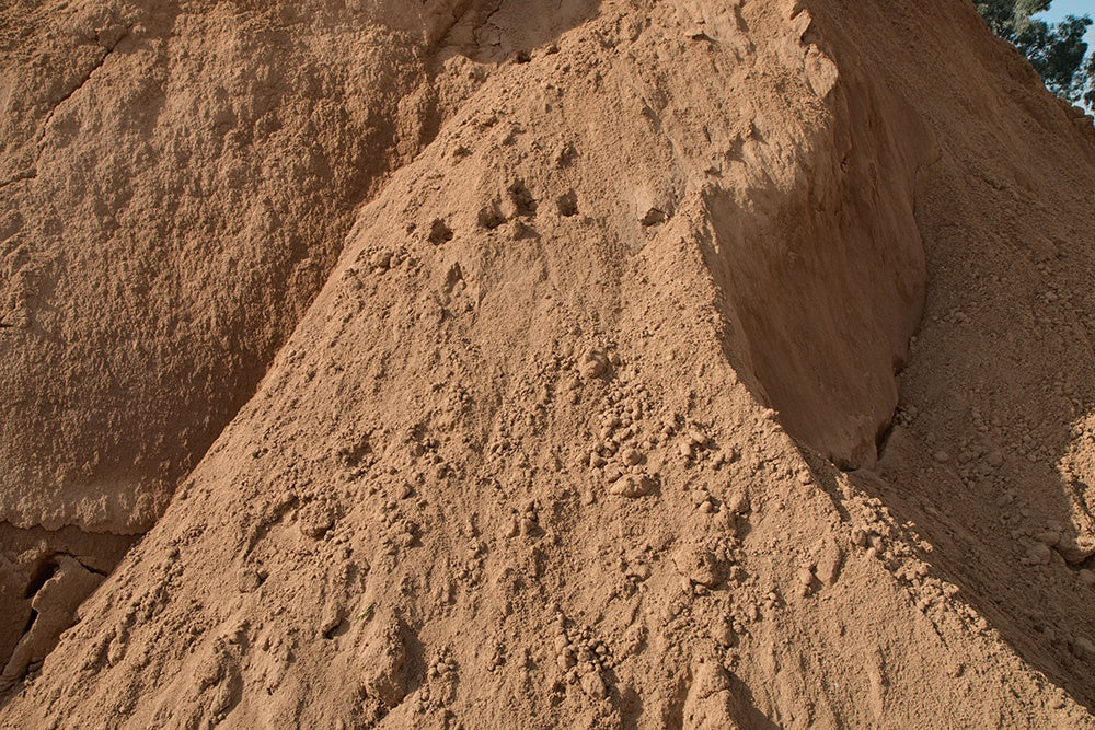 Loam by Bucket / 1-TON Berbice Only
