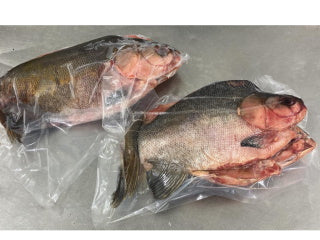 Fish Tambaqui Boneless Whole Each